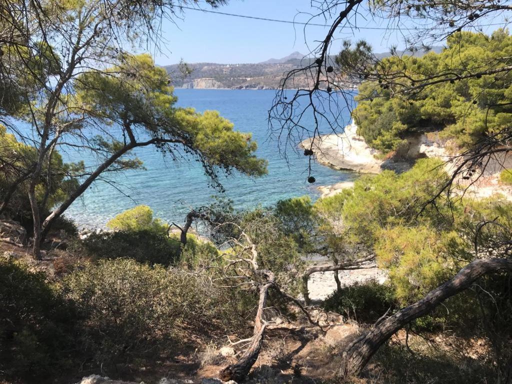 Vana Kavos Appartement Agia Marina  Buitenkant foto