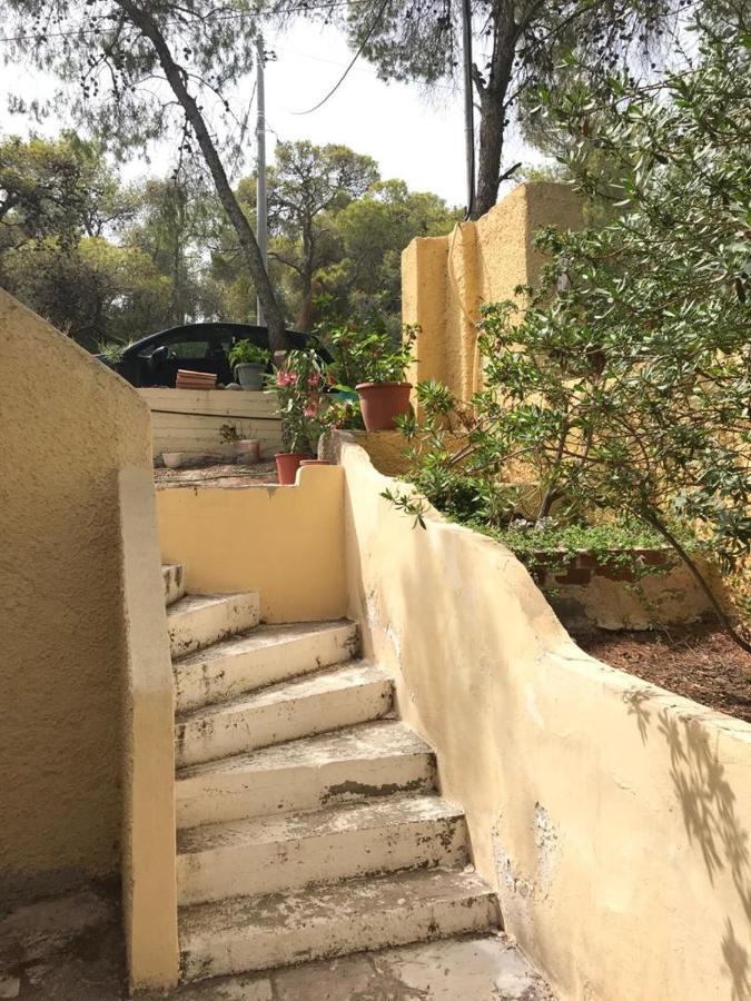 Vana Kavos Appartement Agia Marina  Buitenkant foto