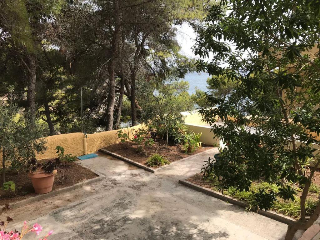 Vana Kavos Appartement Agia Marina  Buitenkant foto