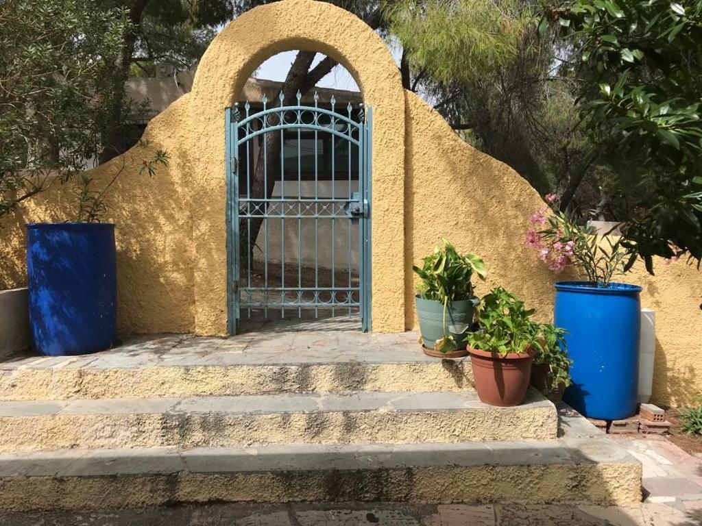 Vana Kavos Appartement Agia Marina  Buitenkant foto